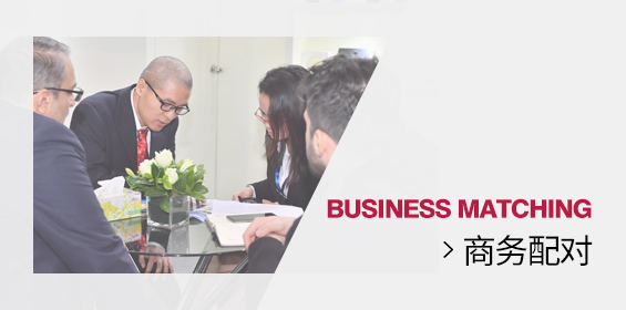 商务配对