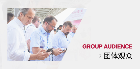 团体观众