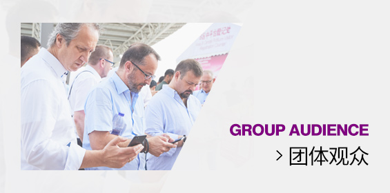 团体观众