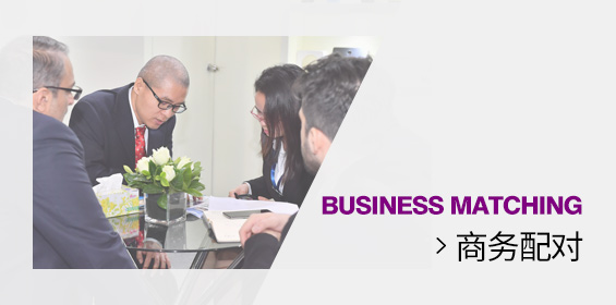 商务配对
