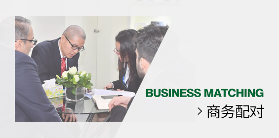 商务配对
