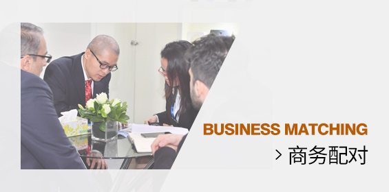 商务配对