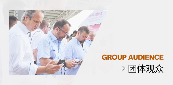 团体观众
