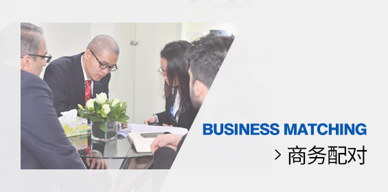 商务配对