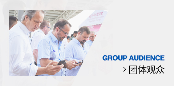 团体观众