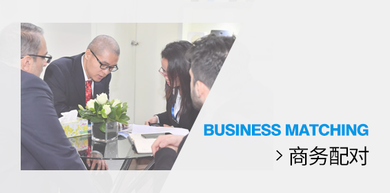 商务配对