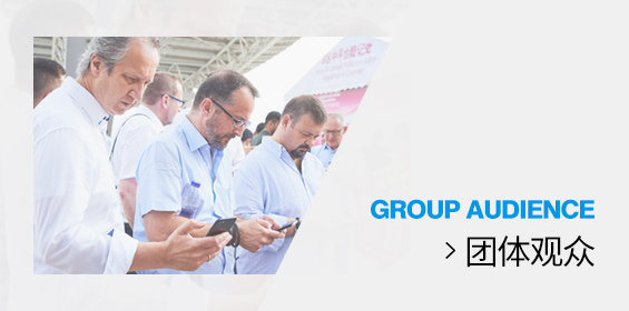 团体观众
