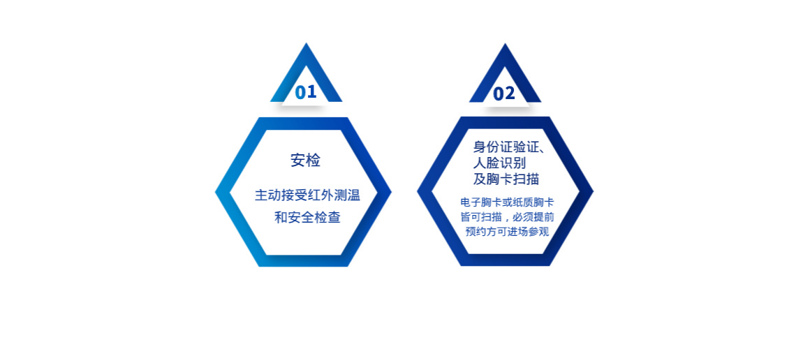 观众入场流程图