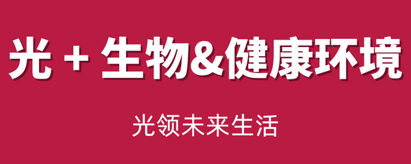 2025广州国际照明展览会