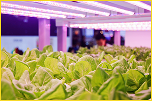 GILE 2024展馆规划丨增开B区1楼，全展覆盖22个展馆