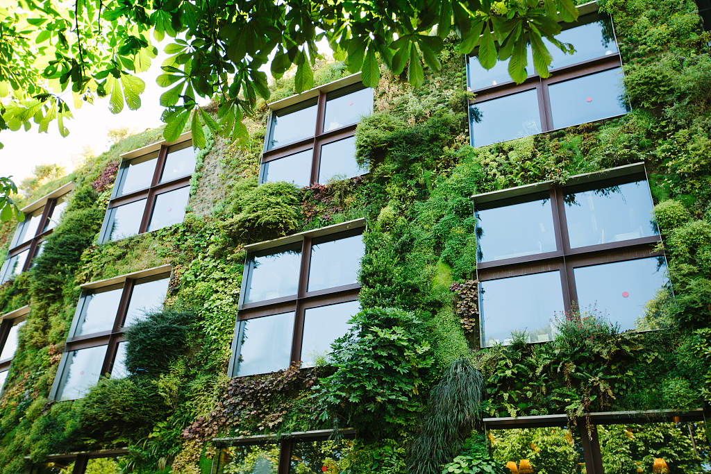 绿色建筑：不仅仅是绿色墙壁