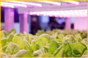 【免费领门票】GILE2024 初夏回归，26万㎡超大展览规模，演绎“光+时代——实践光无限”