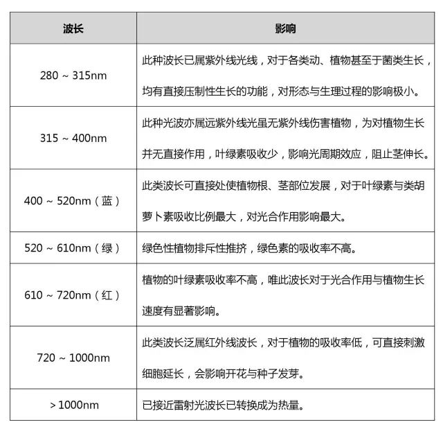 光亚展官网