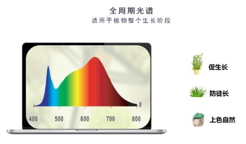 植物生长灯和普通照明灯具有啥不同？-有驾