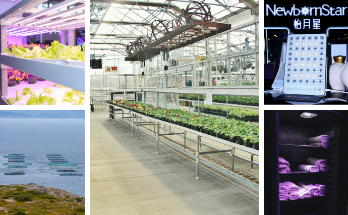 生物光学与智慧农业