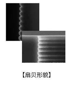 广州工业科技展览会