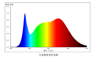 广州光亚展地址