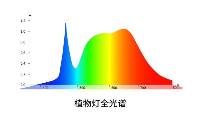 光亚展官网