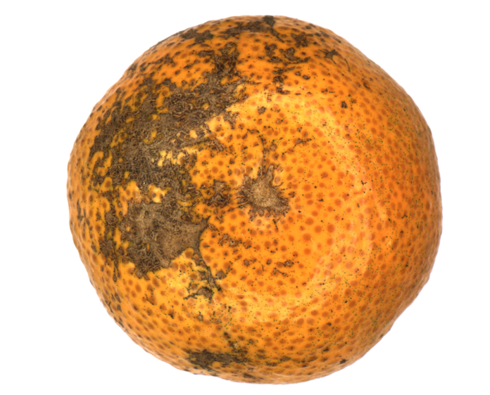 SPS广州智能制造展