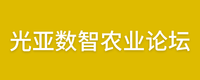 同期活动