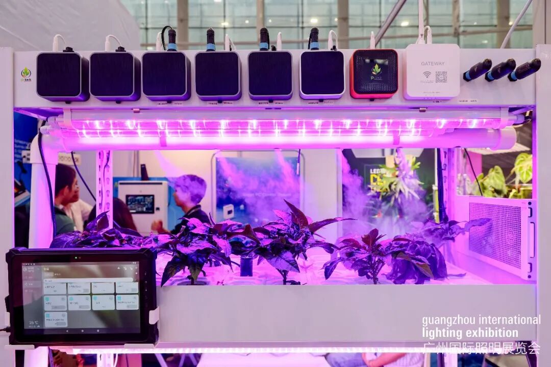 广州gile