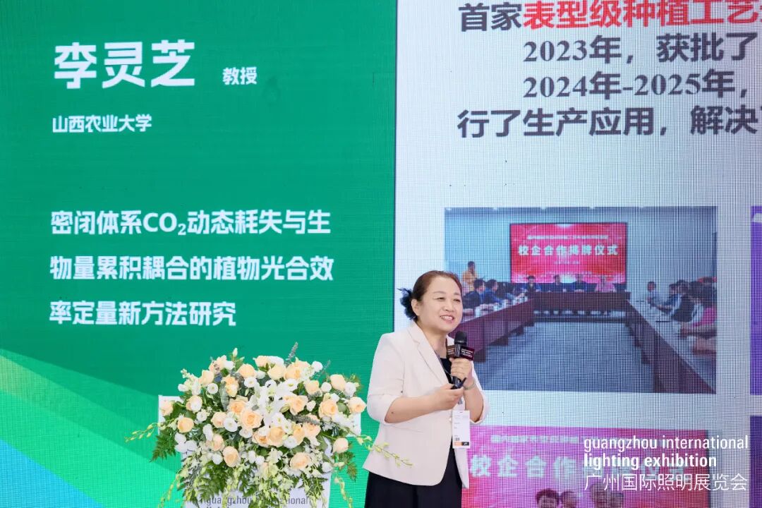 照明展
