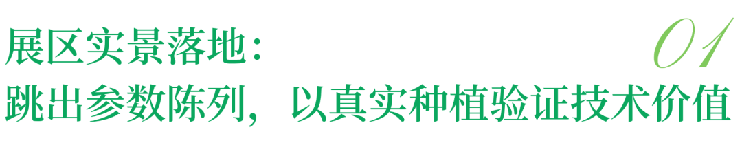 照明展