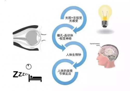 "广州国际照明展"